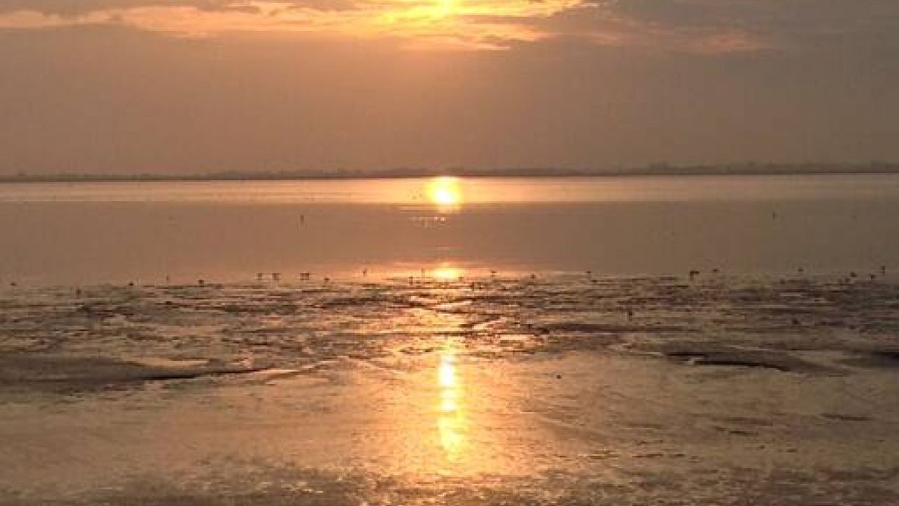 Photo of Others in Le Crotoy