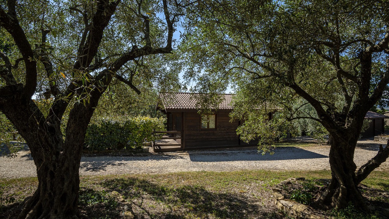 Photo of Outdoor in Saint-Jean-de-Maruejols-et-Avejan