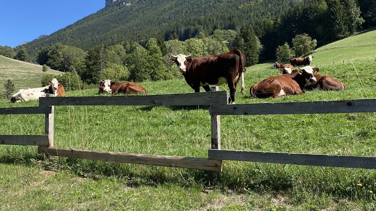 Photo of Outdoor in Saint-Pierre-d'Entremont