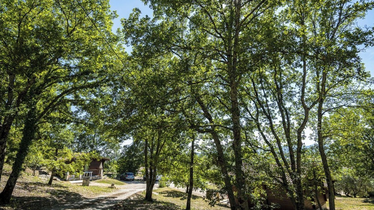 Photo of Outdoor in Saint-Jean-de-Maruejols-et-Avejan
