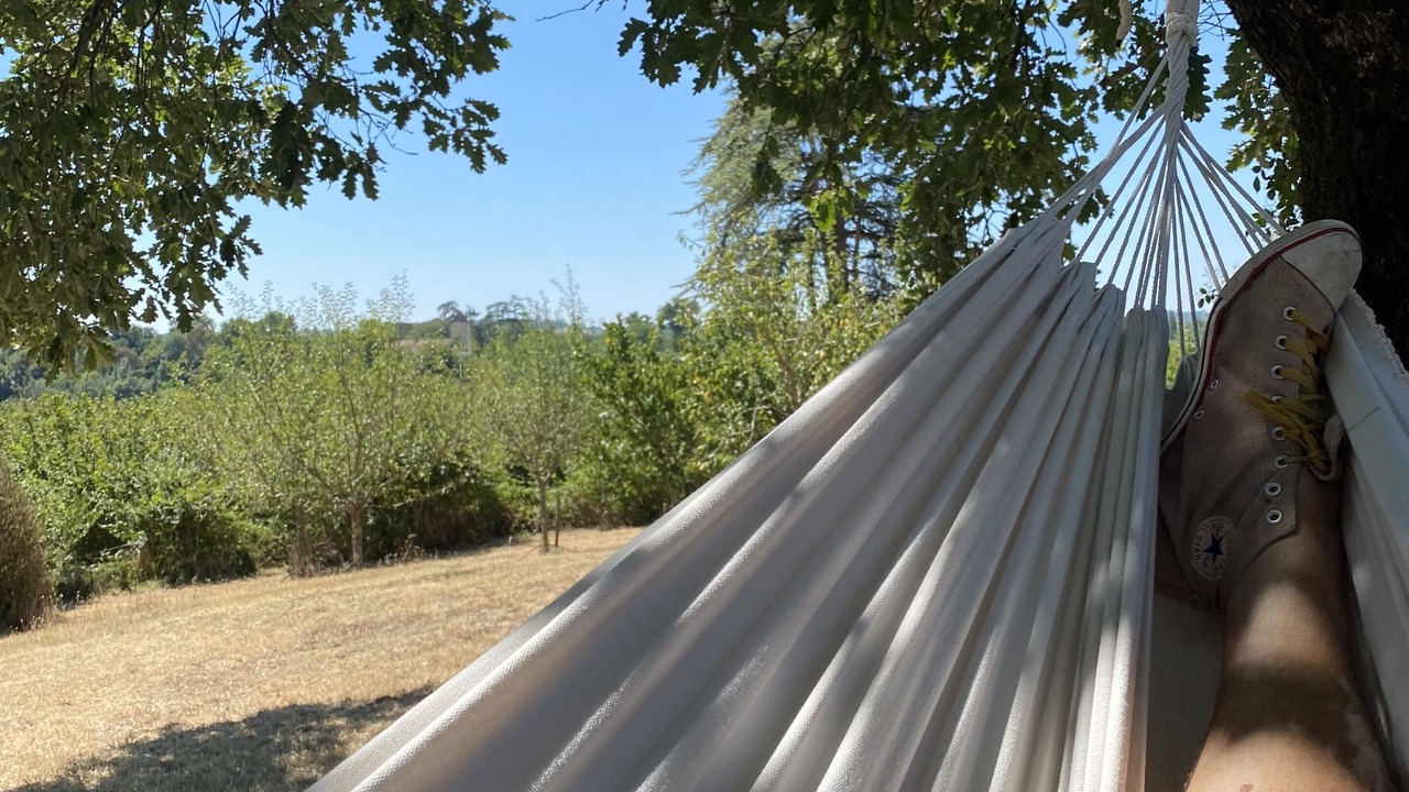 Photo of Outdoor in La Sauvetat-sur-Lede