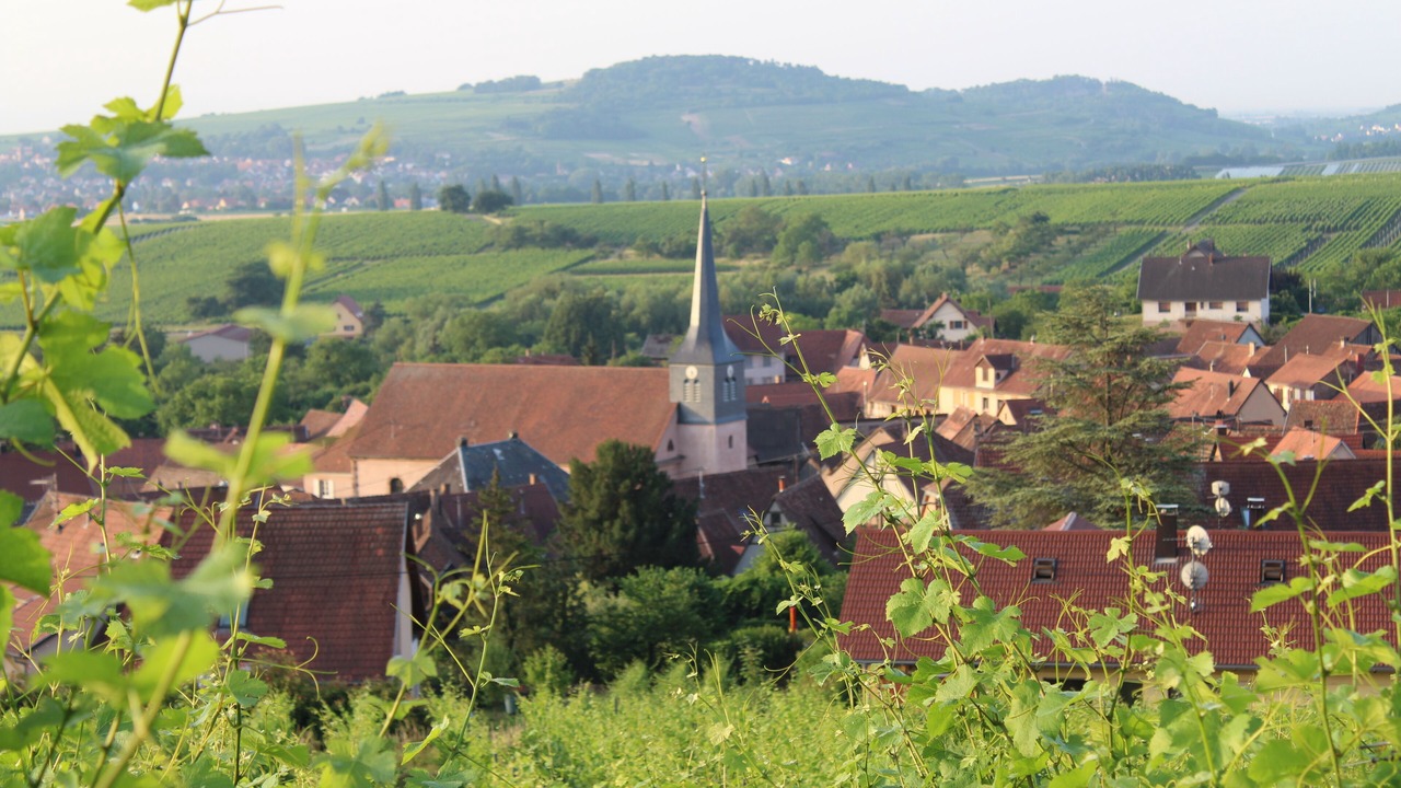 Photo of Outdoor in Wangen
