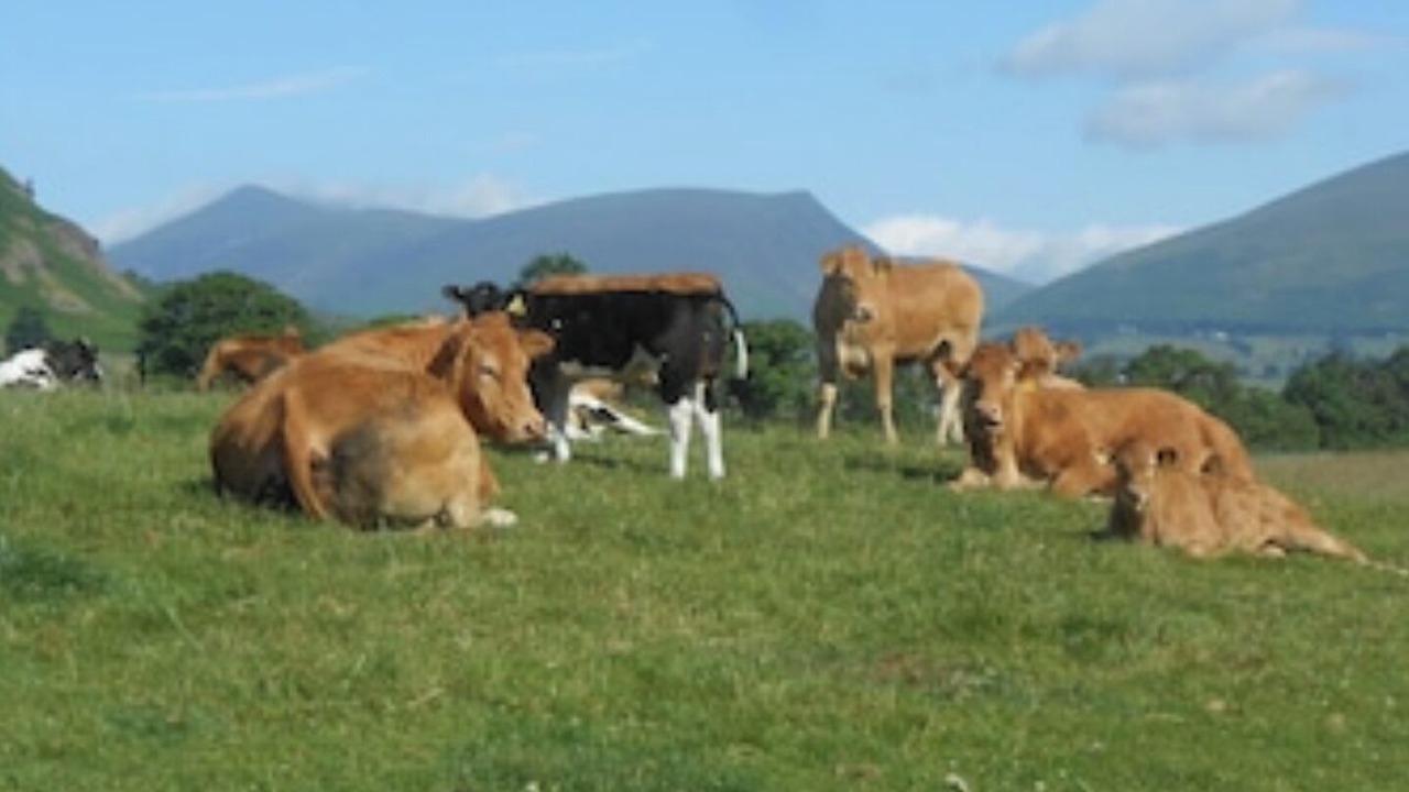 Photo of Others in Keswick