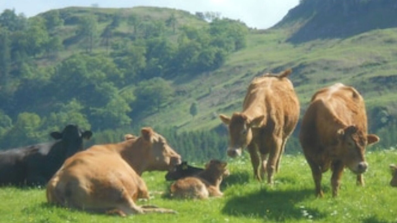 Photo of Outdoor in Keswick