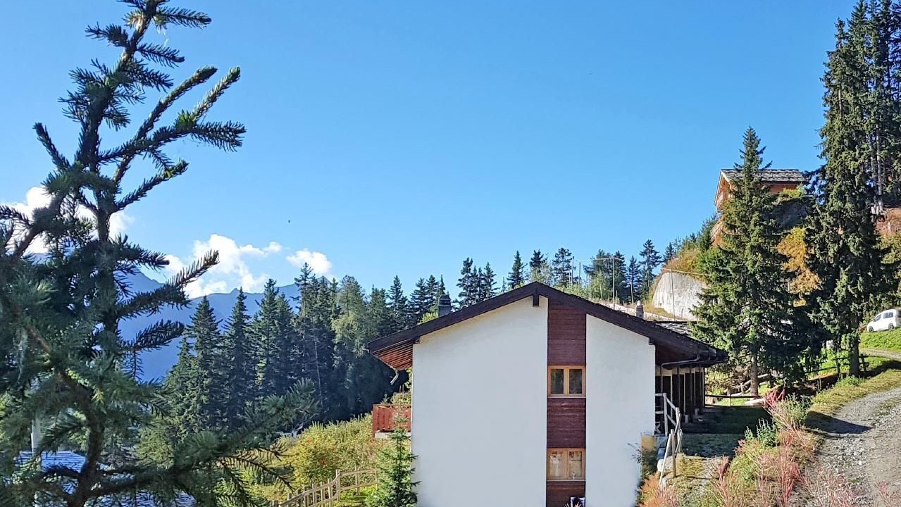 Photo of Others in Vex