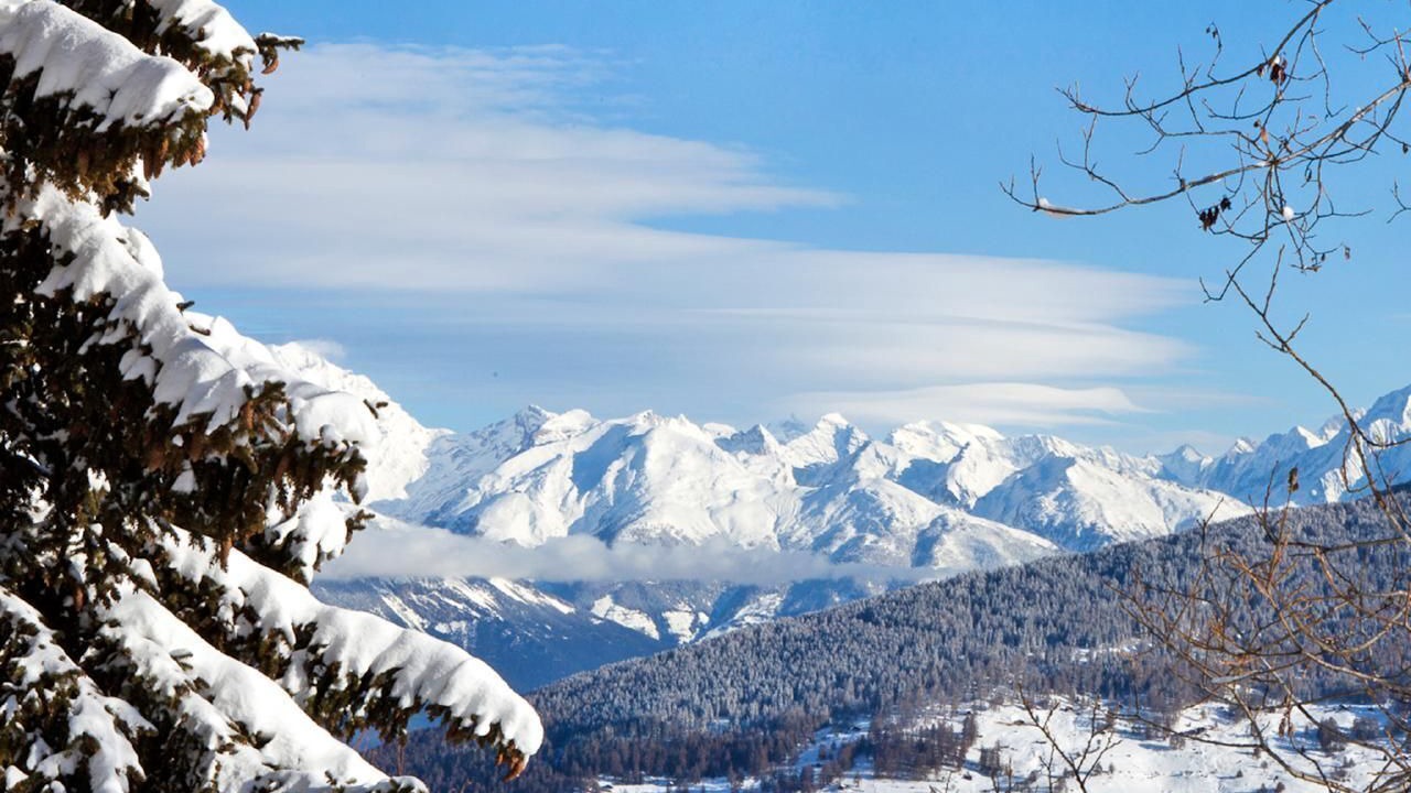 Photo of Others in Vex