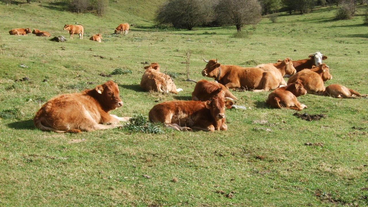 Photo of Others in Bourg-d'Oueil