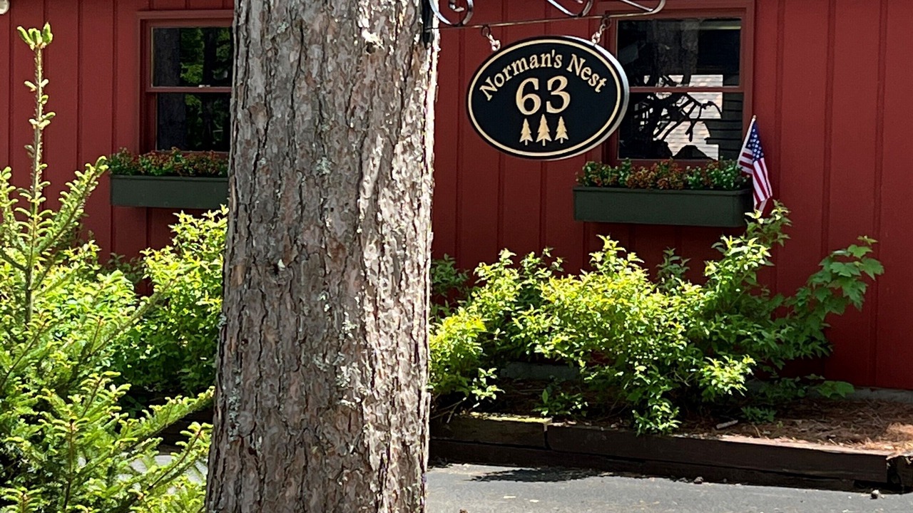 Photo of Outdoor in Piseco