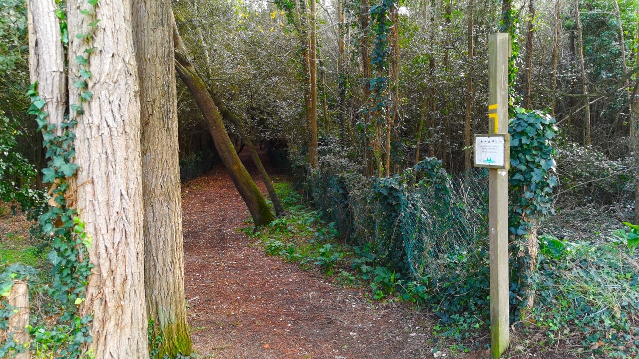 Photo of Outdoor in Bourgenay