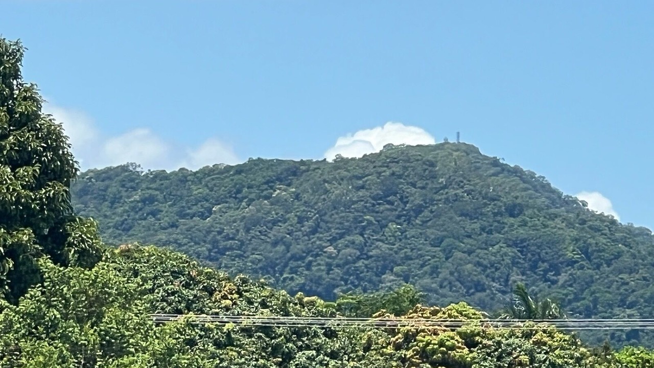 Photo of Others in Parramatta Park