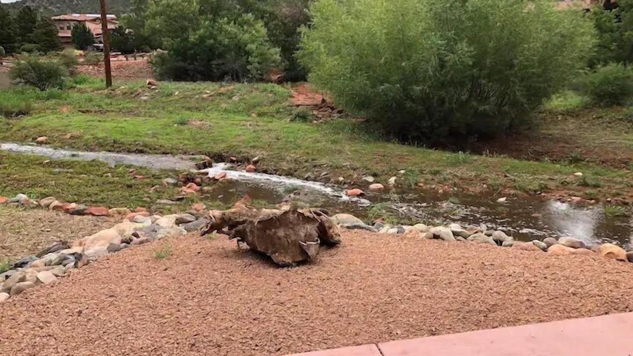 Photo of Outdoor in Oak Creek