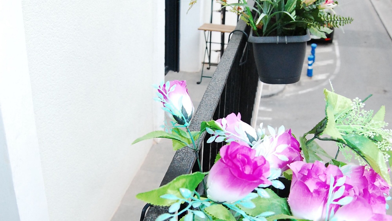Photo of Outdoor in San Anton