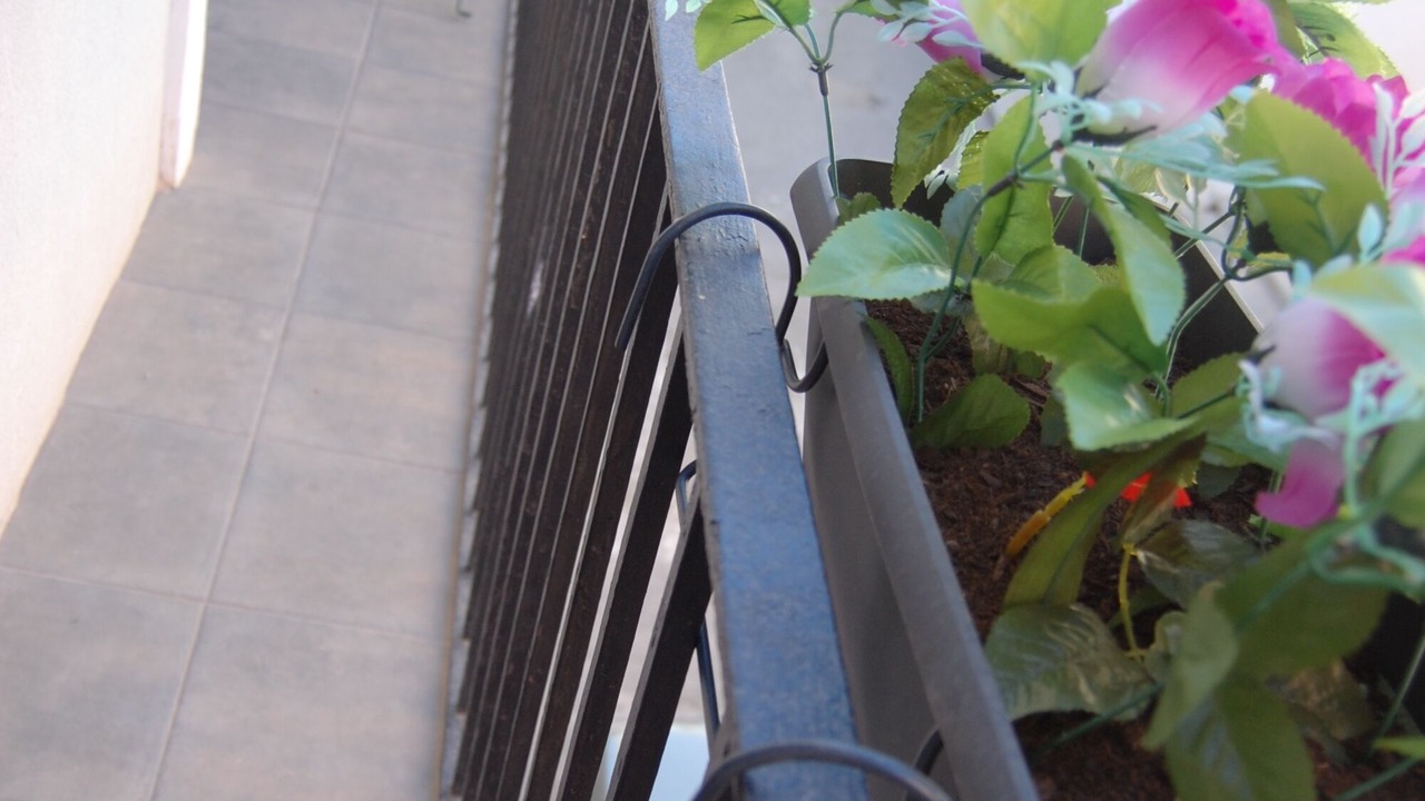 Photo of Outdoor in San Anton