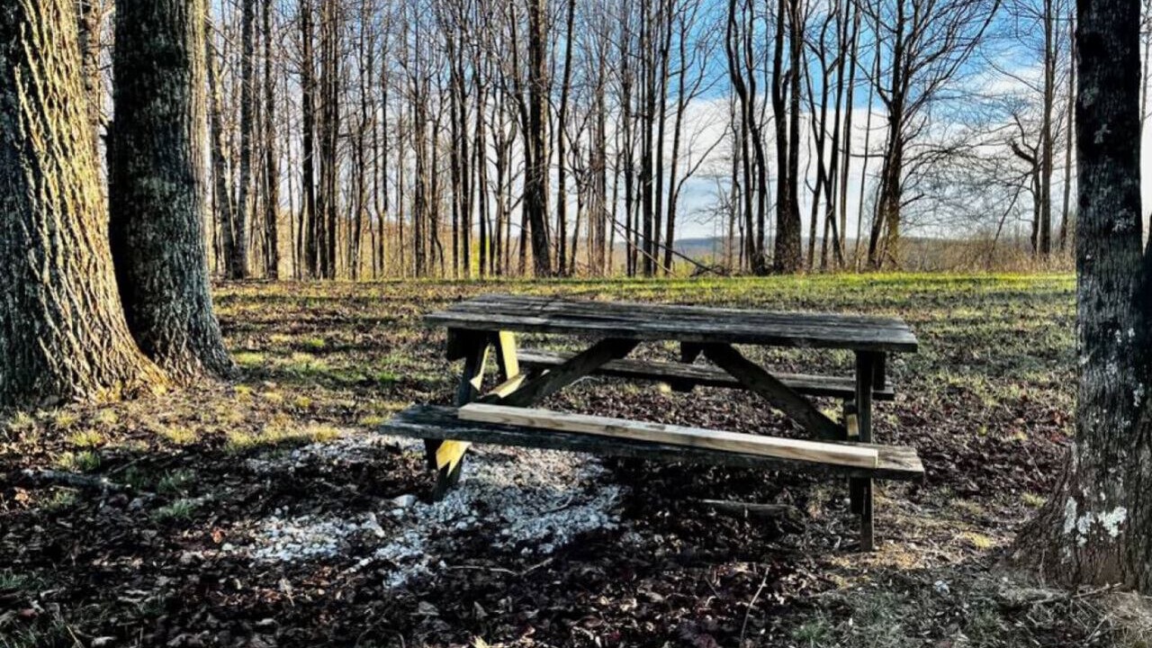 Photo of Outdoor in Vesta