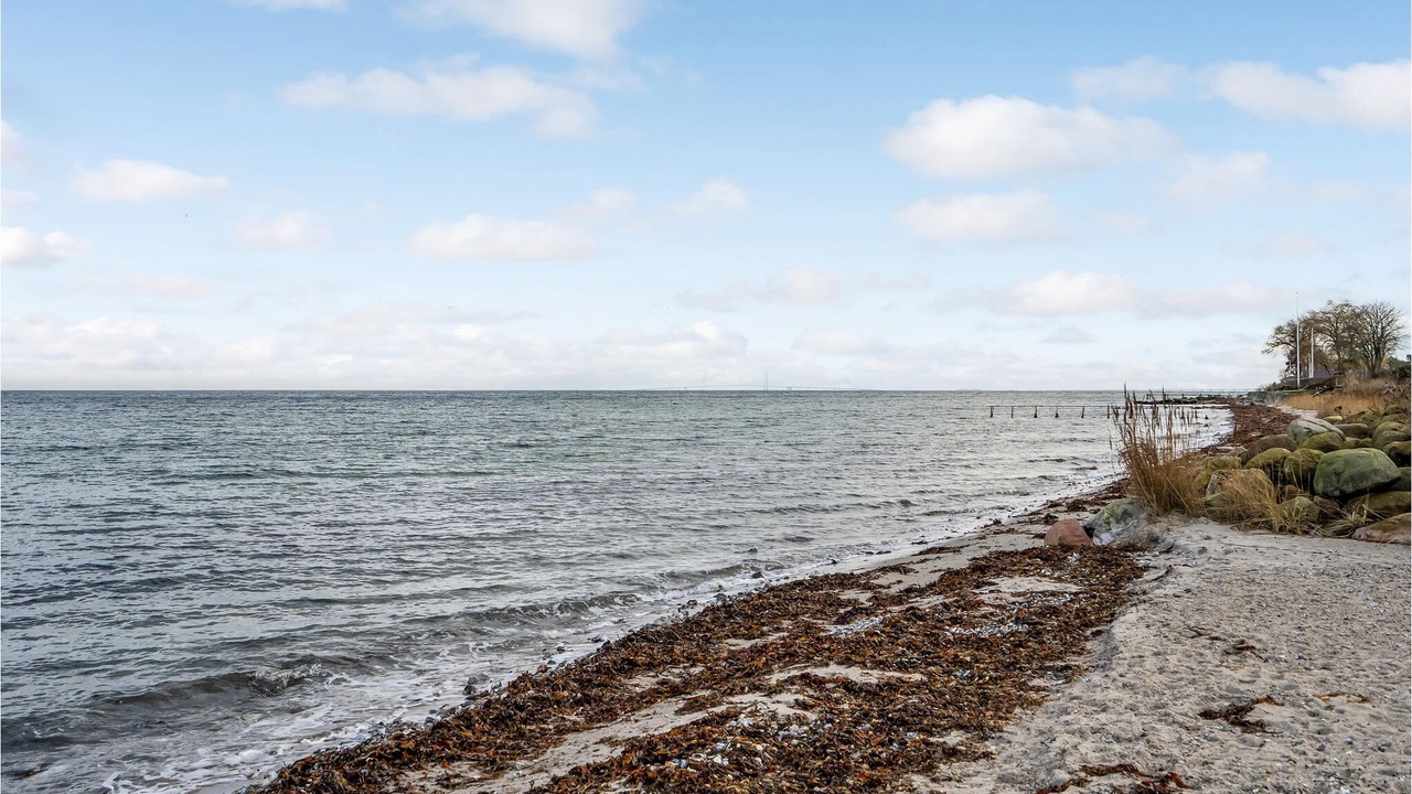 Photo of Others in Nyborg