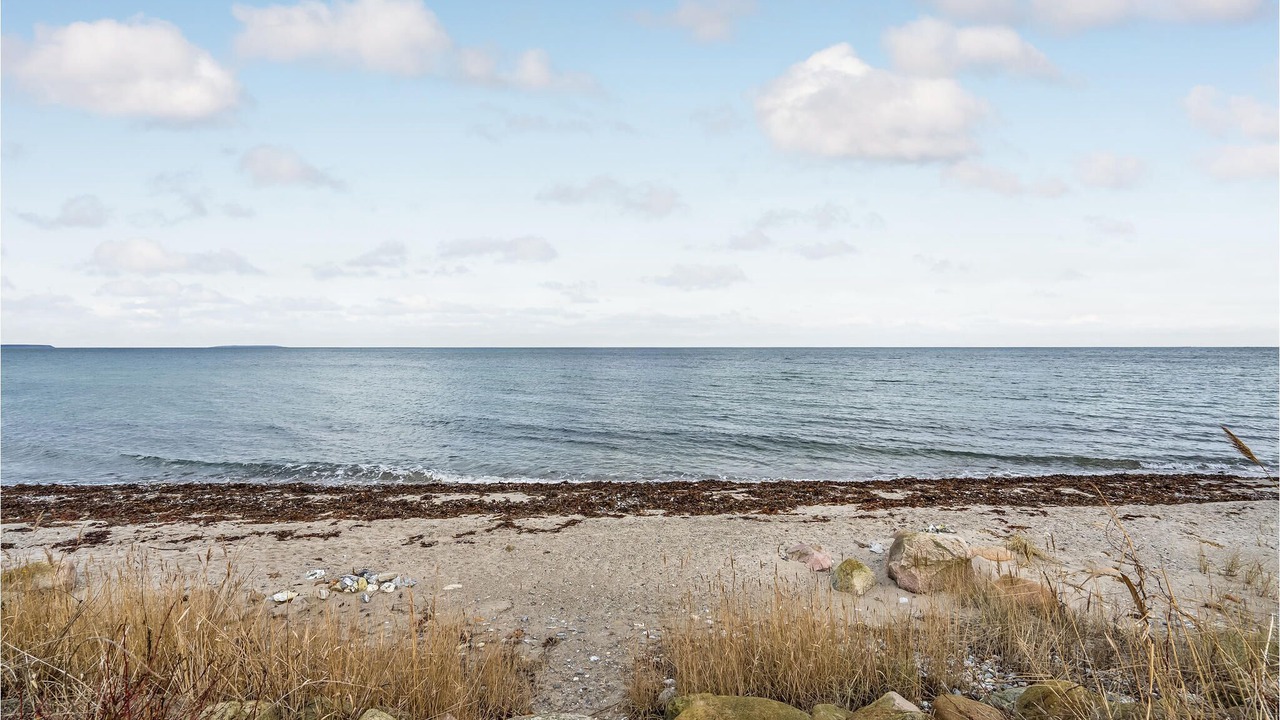 Photo of Others in Nyborg