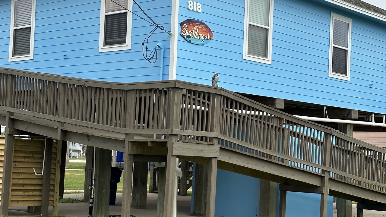 Photo of Outdoor in Surfside Beach