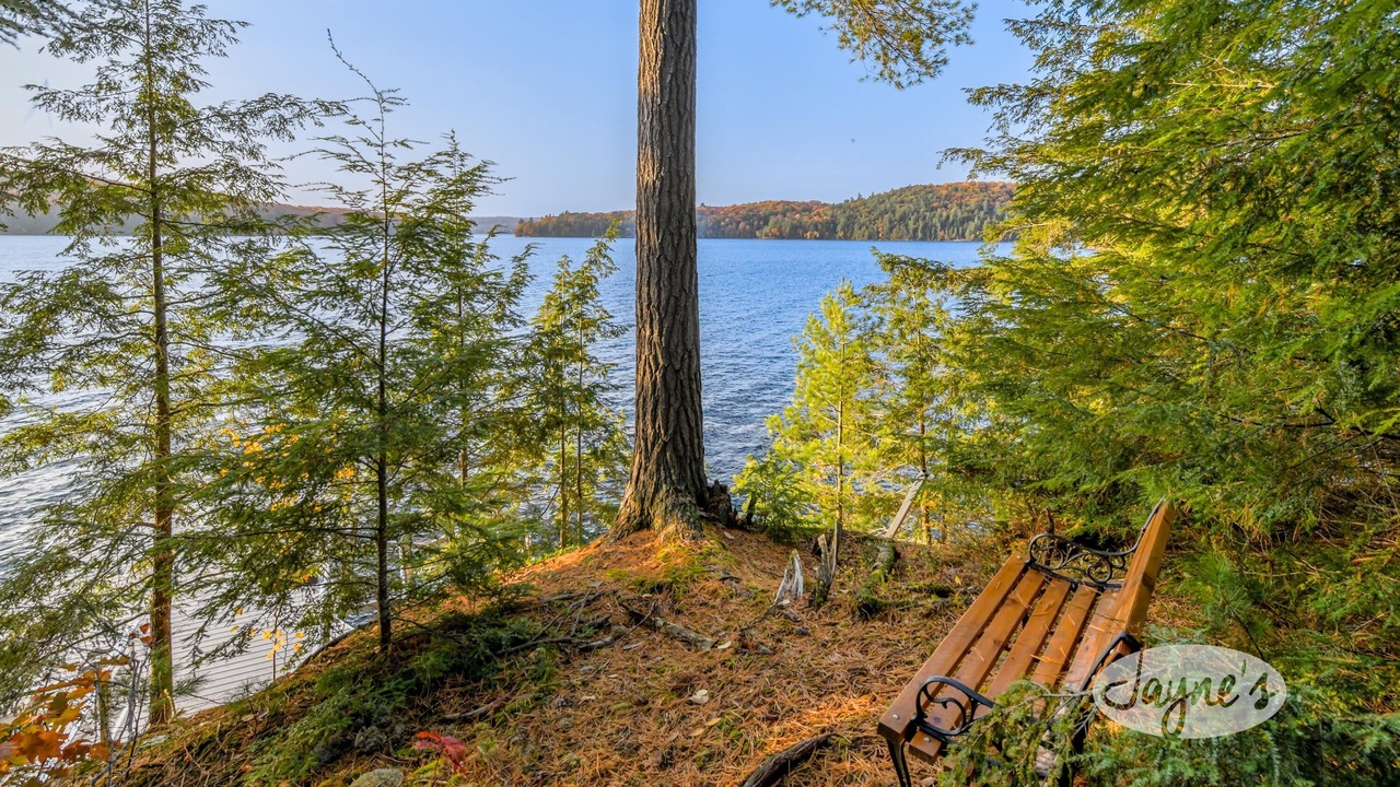Photo of Others in Algonquin Highlands