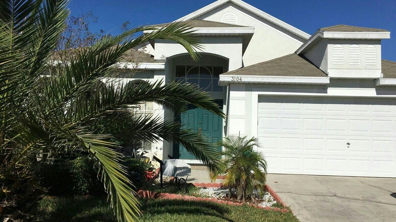 Photo of Outdoor in Orange Tree