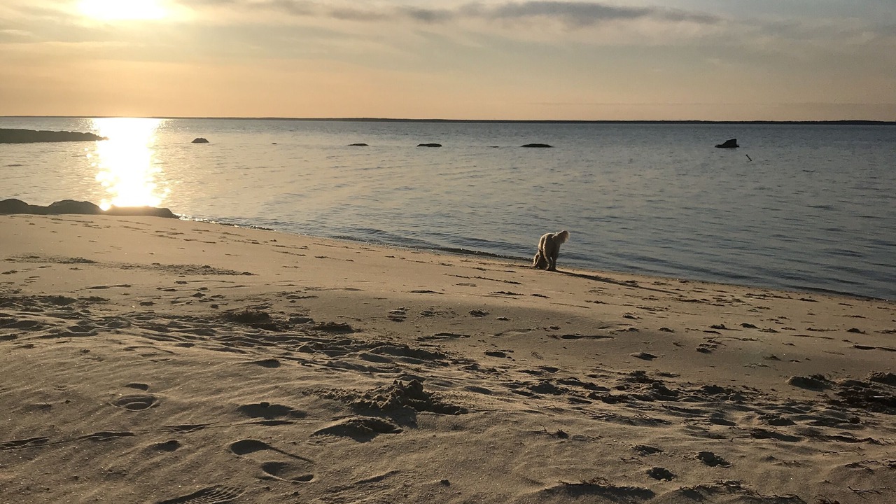 Photo of Others in Silver Beach