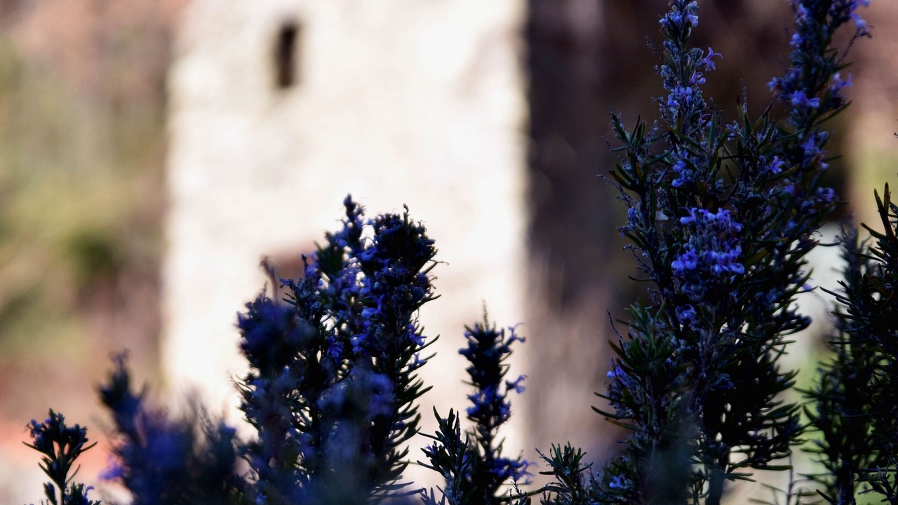 Photo of Outdoor in Corsavy