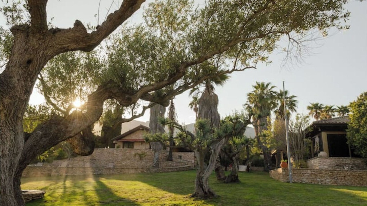 Photo of Outdoor in Alcanar