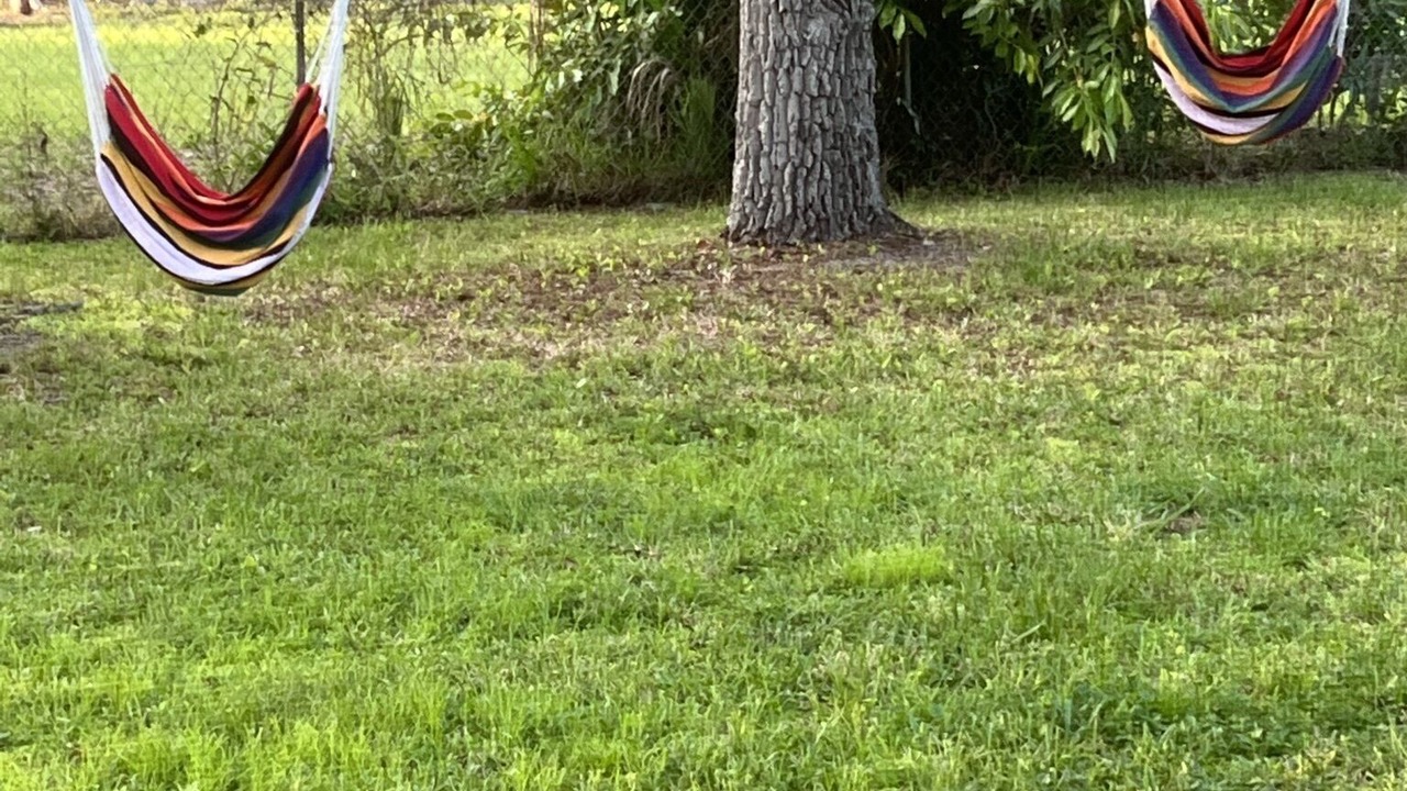Photo of Outdoor in Laurel