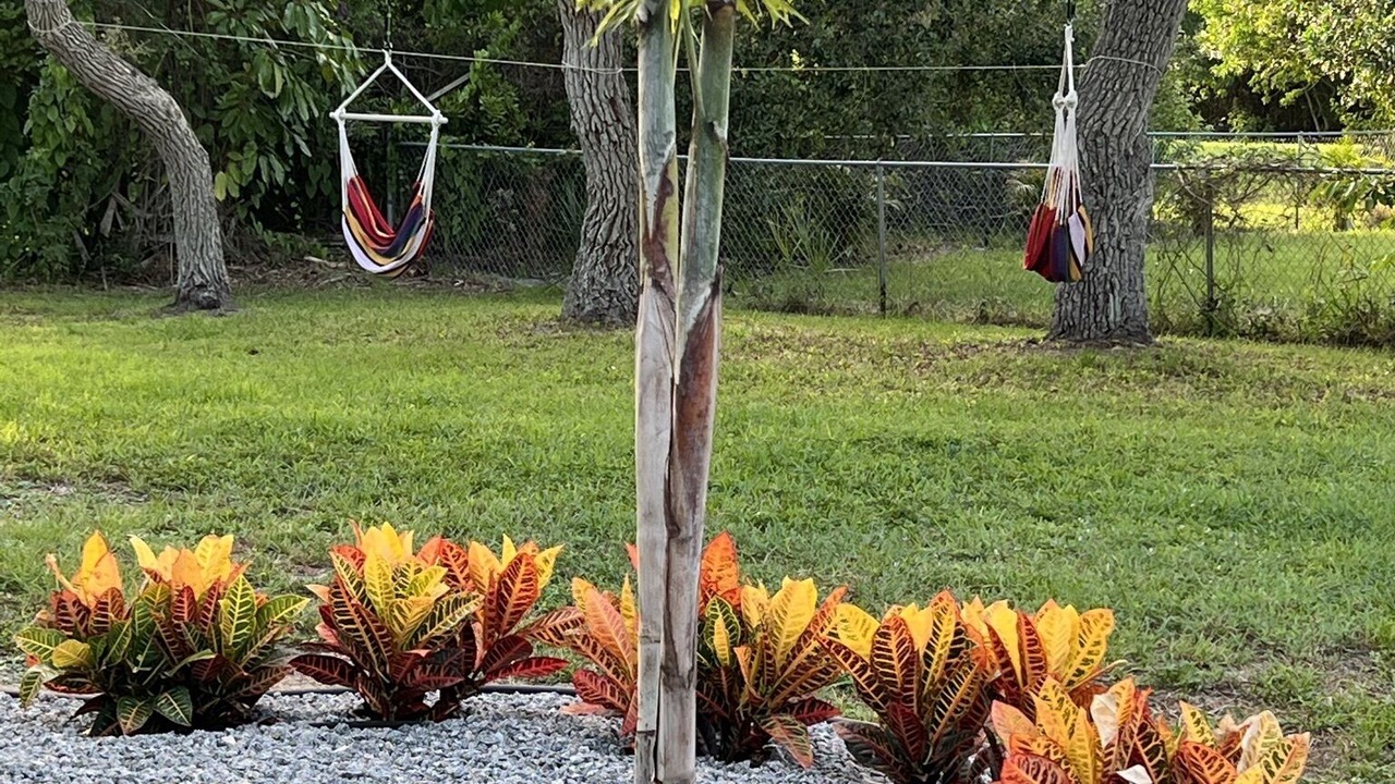 Photo of Outdoor in Laurel