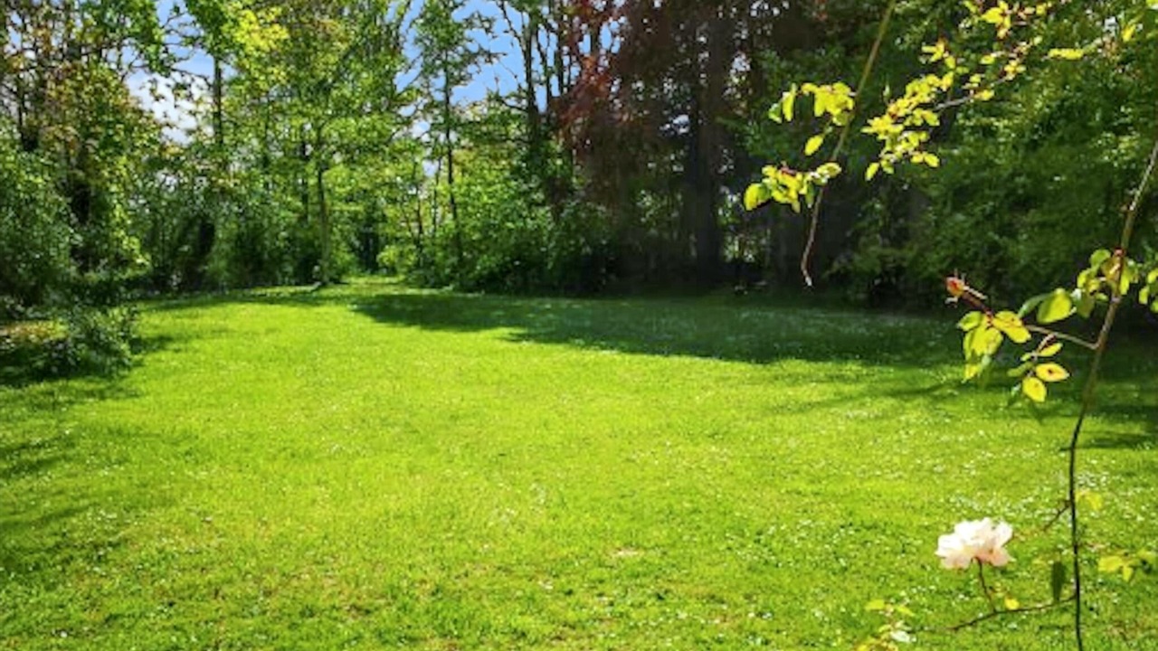 Photo of Outdoor in Ryes