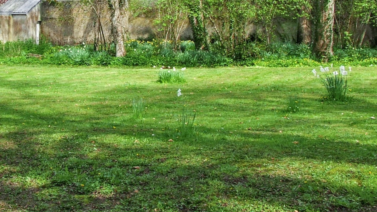 Photo of Outdoor in Ryes