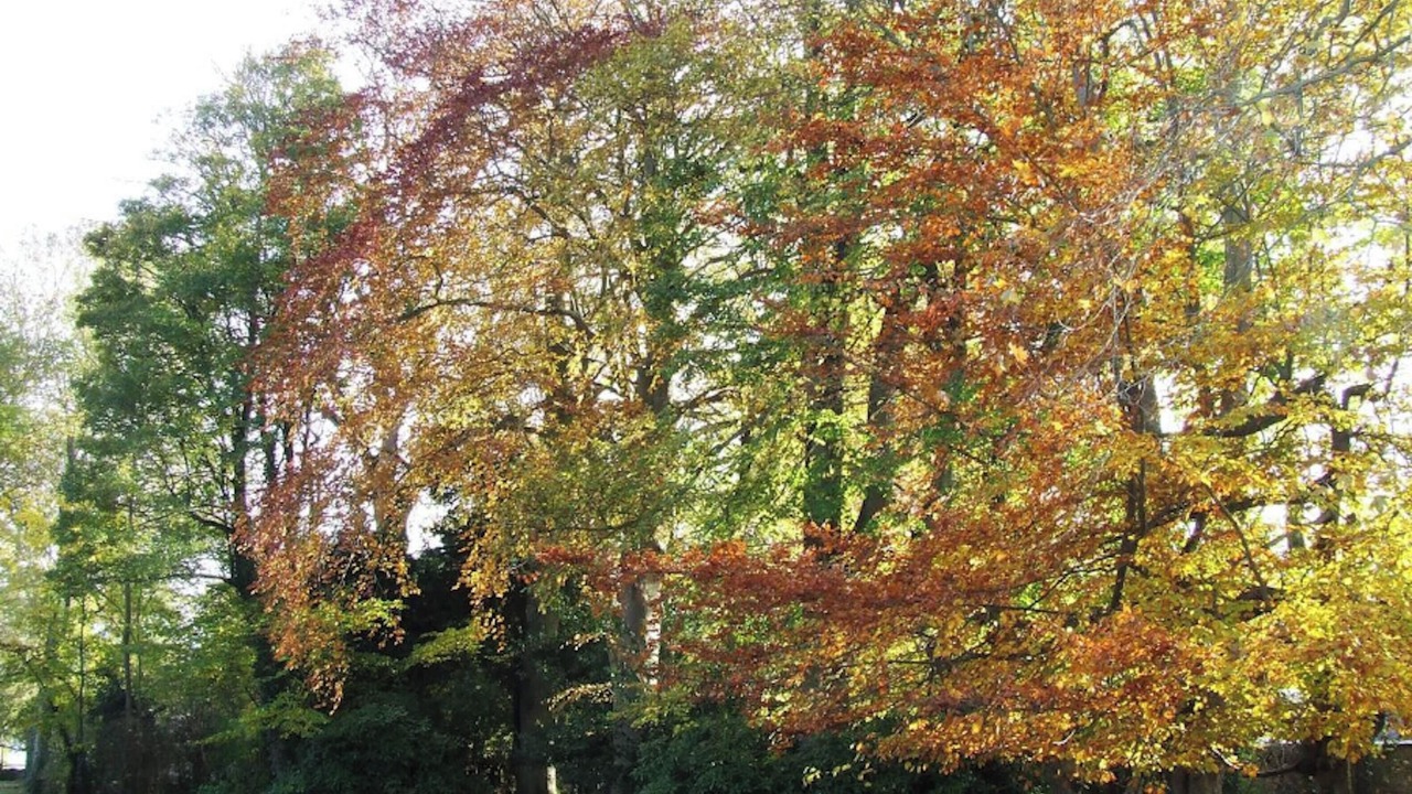 Photo of Outdoor in Ryes