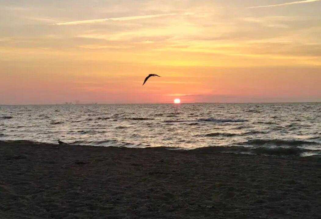 Photo of Others in North Beach