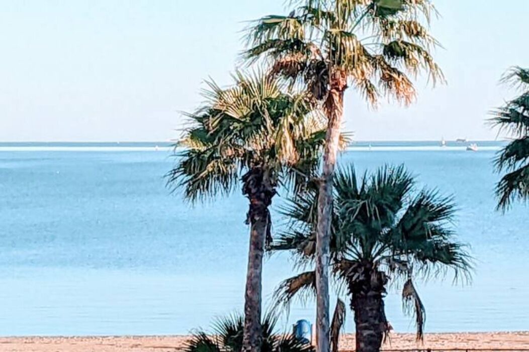 Photo of Others in North Beach