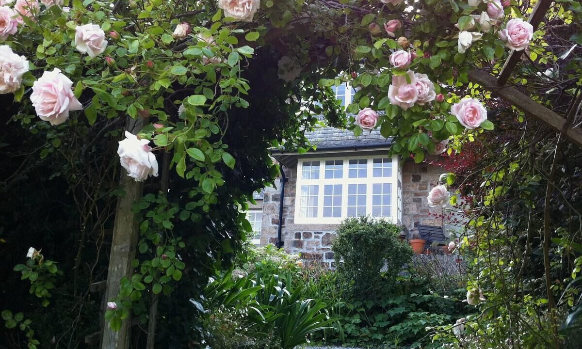 Photo of Others in Lelant