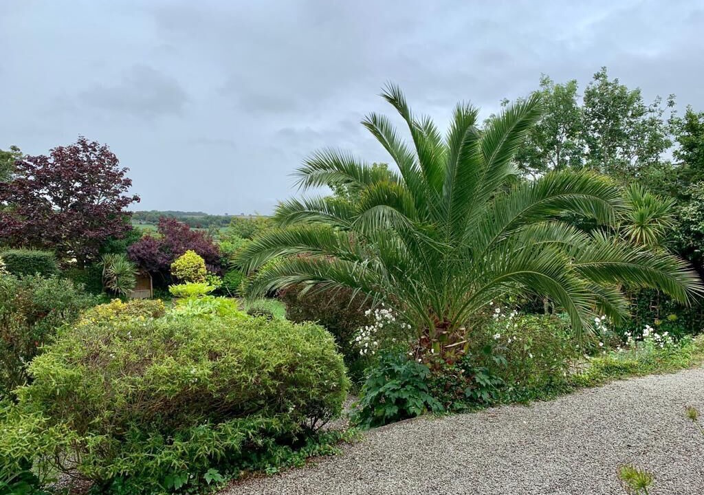 Photo of Outdoor in Lelant