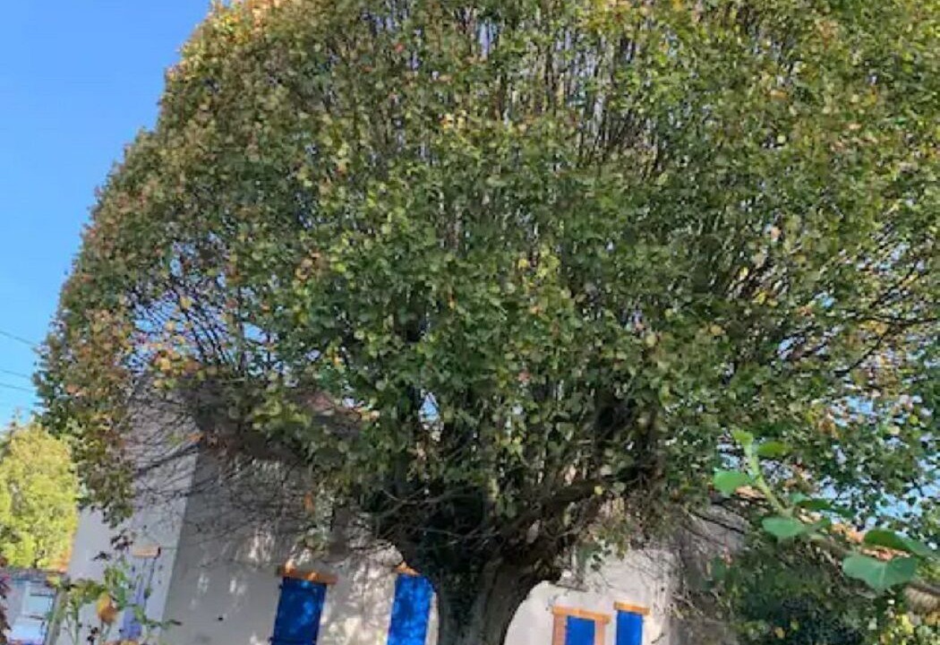 Photo of Outdoor in Mer