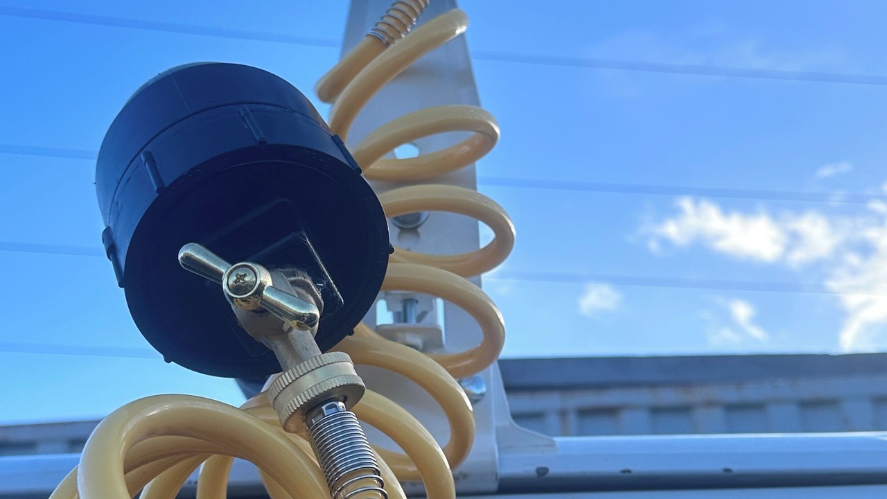 Photo of Others in Kahului