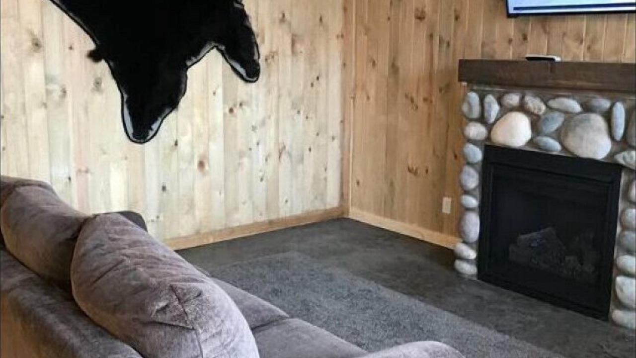 Photo of Livingroom in Island Park