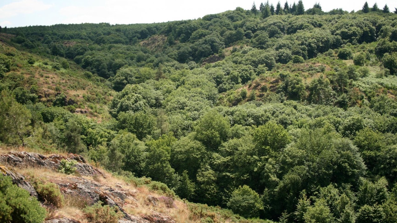 Photo of Outdoor in Gael