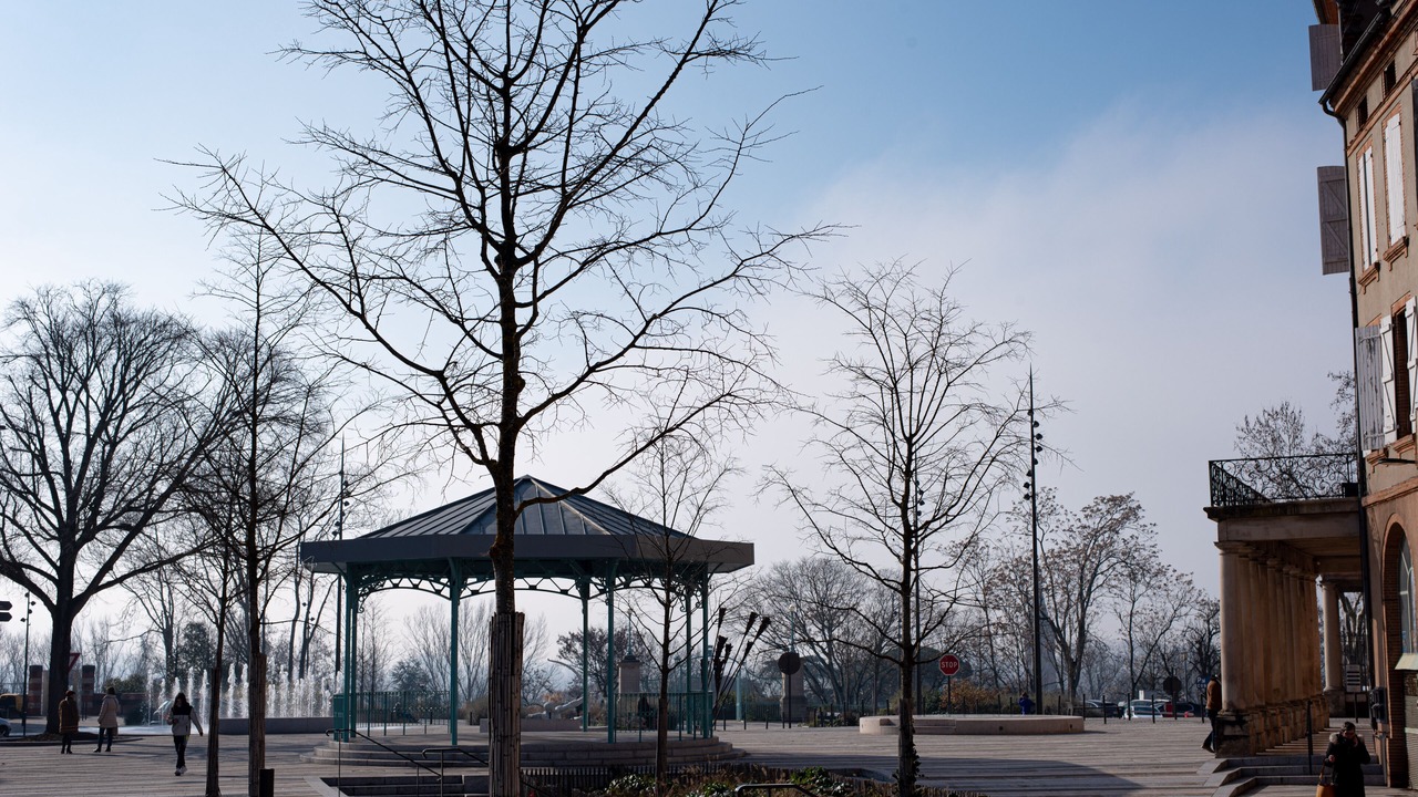 Photo of Outdoor in Montauban