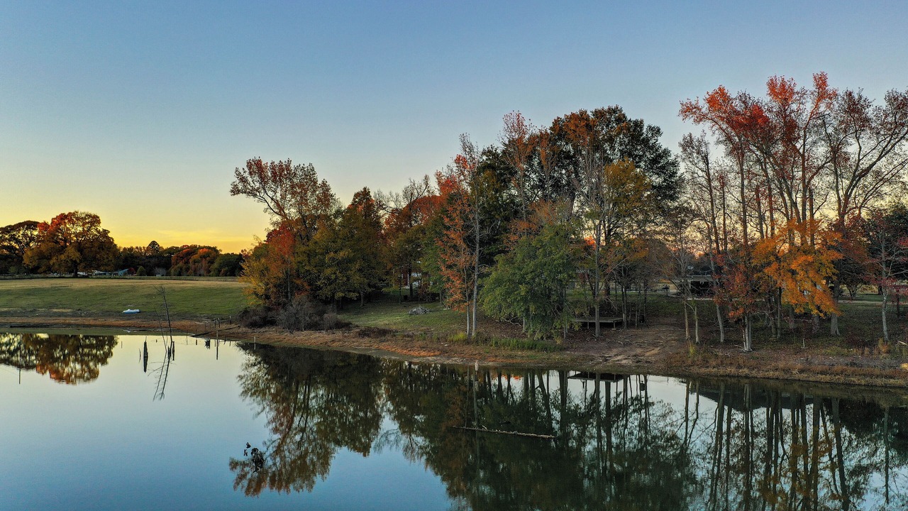 Photo of Outdoor in Bullard