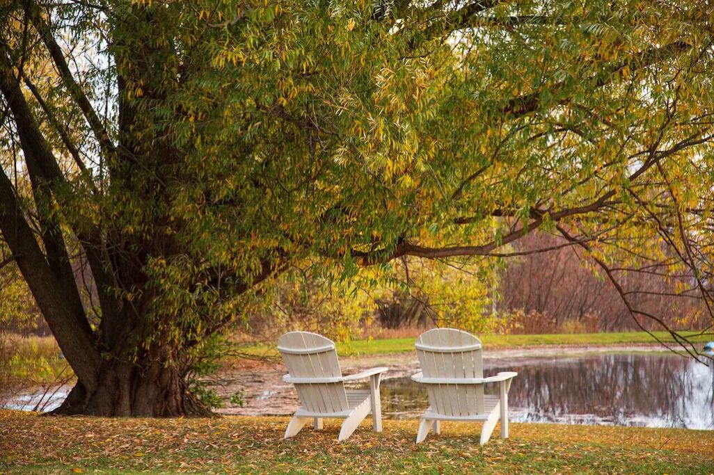 Photo of Others in Ithaca