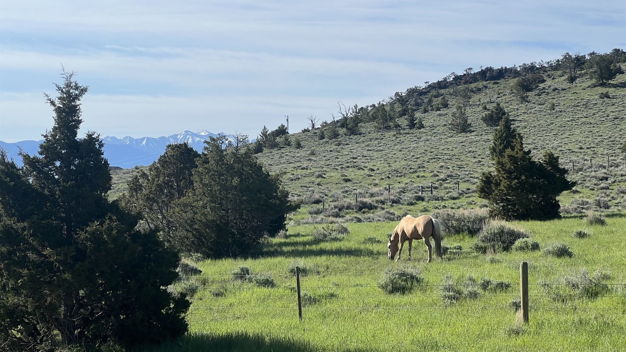 Photo of Outdoor in Virginia City Ranches