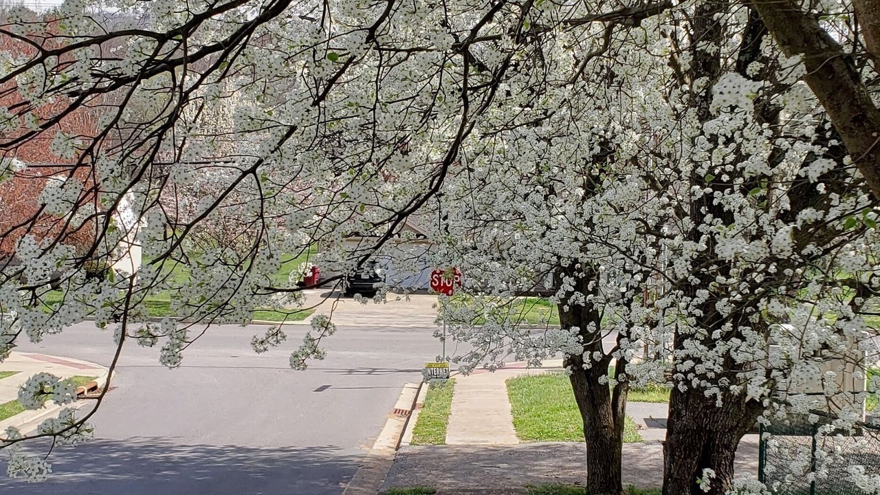 Photo of Outdoor in Johnson City