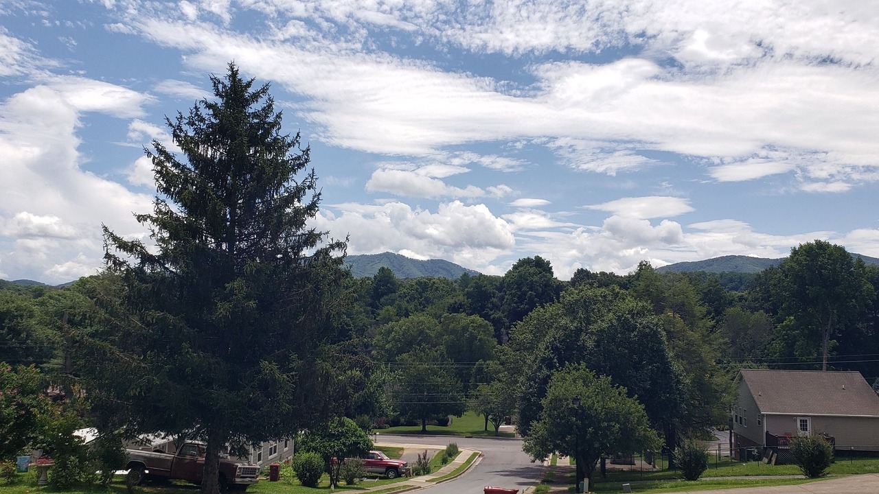 Photo of Others in Johnson City
