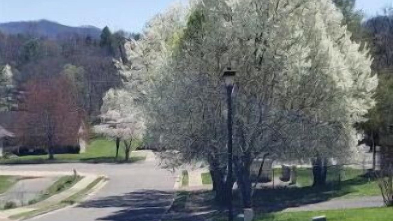 Photo of Outdoor in Johnson City