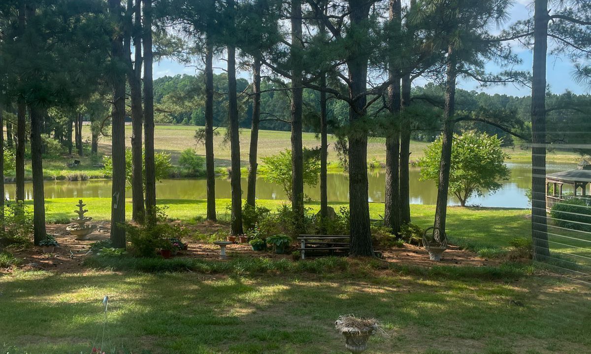 Photo of Outdoor in Louisburg