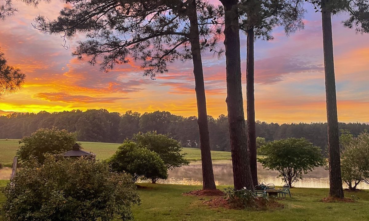 Photo of Outdoor in Louisburg