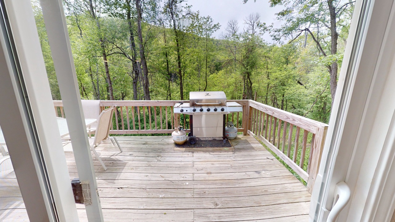 Photo of Outdoor in Gaines