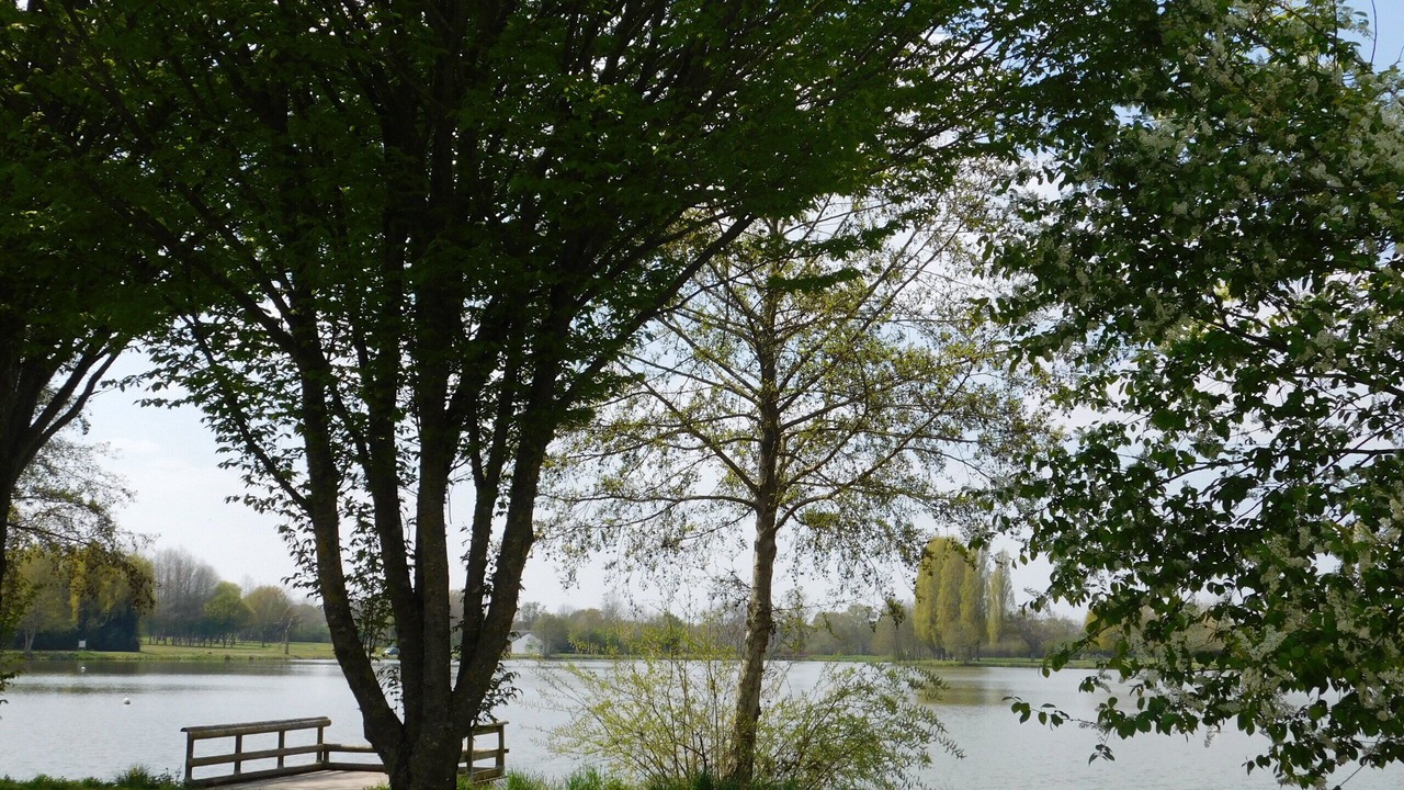 Photo of Outdoor in Saint-Denis-du-Maine